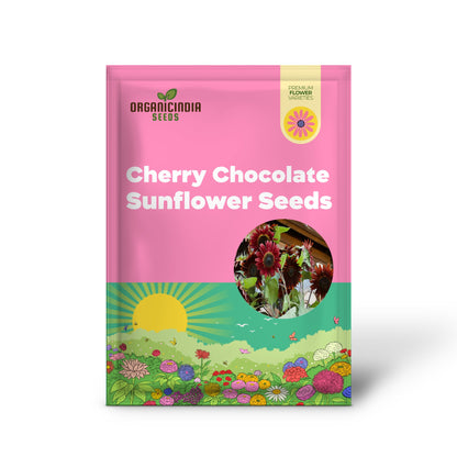 Cherry Chocolate Sunflower Seeds