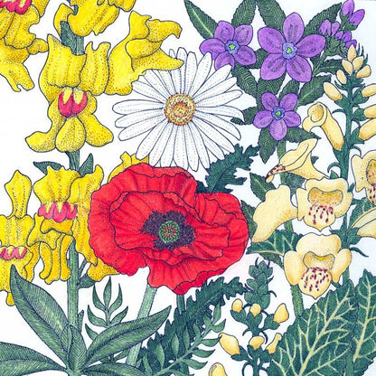 North American Shade Wildflower Mix (pack)