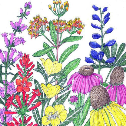 North American Perennial Native Wildflower Mix (pack)
