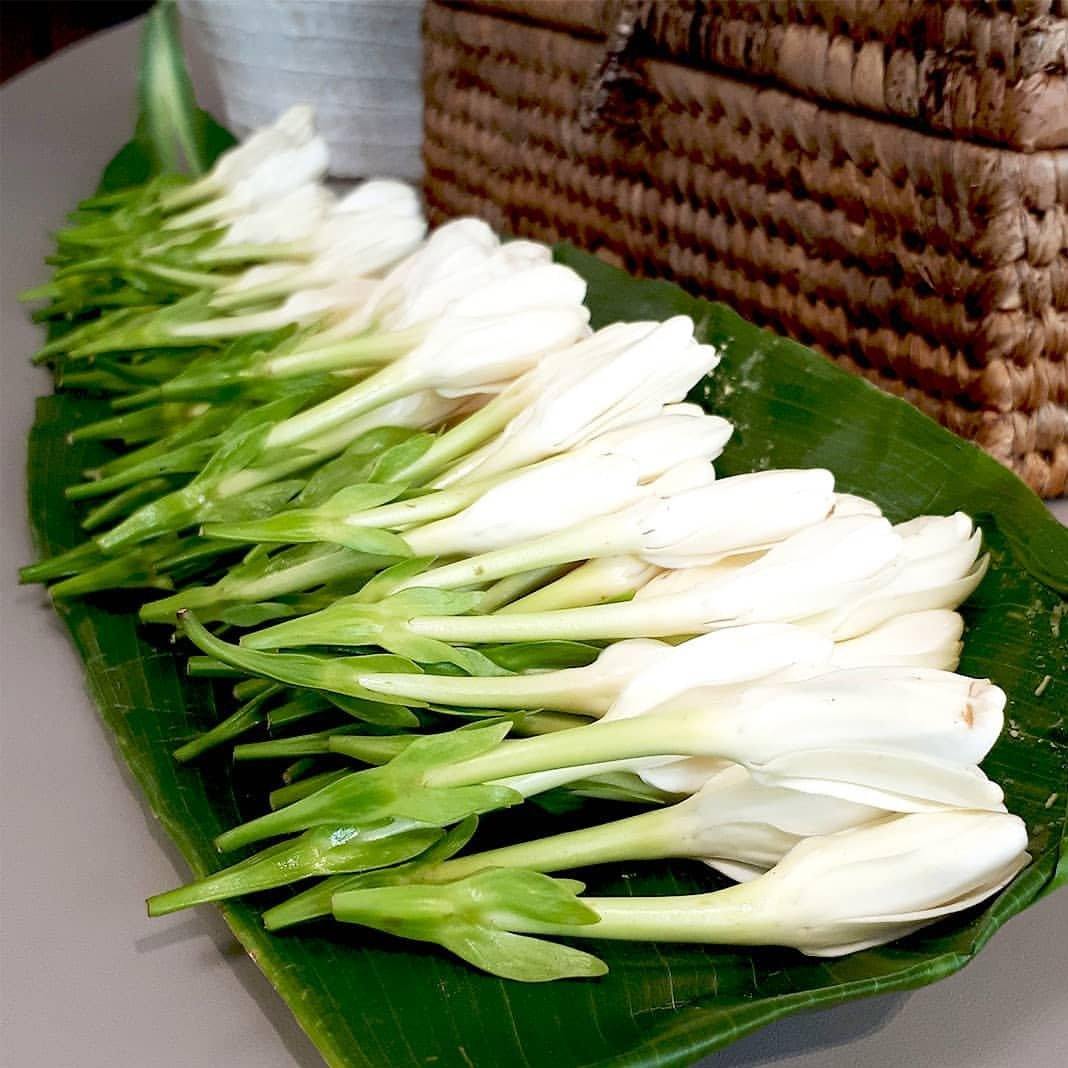 Stick Deodorant: Monoi Tahiti