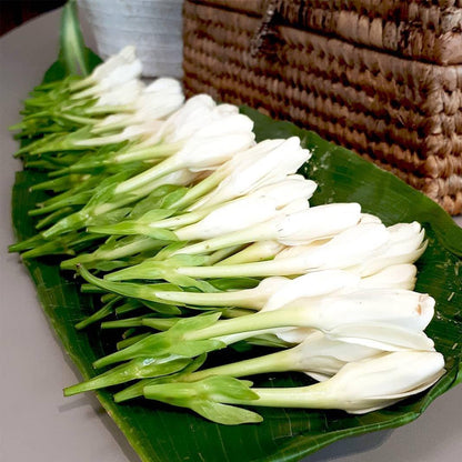 Stick Deodorant: Monoi Tahiti