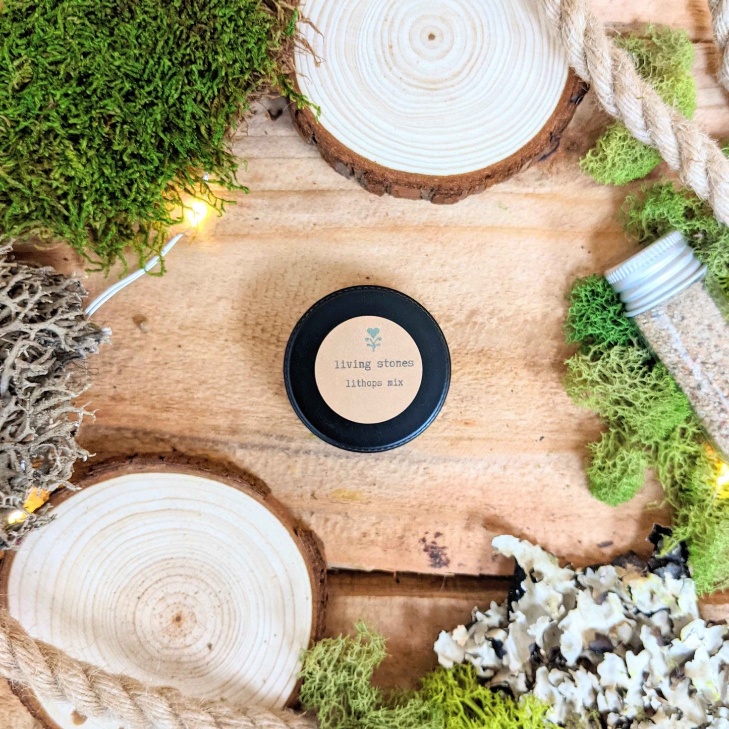 "The Popular Kids" Houseplant Seed Collection