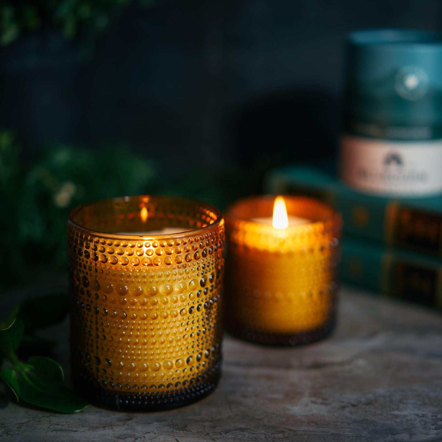 The Woodsy Scented Candle - Aromática
