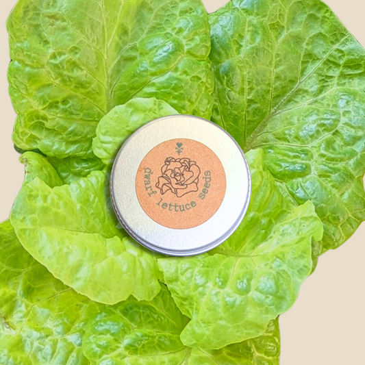 Organic Tom Thumb Lettuce Seeds