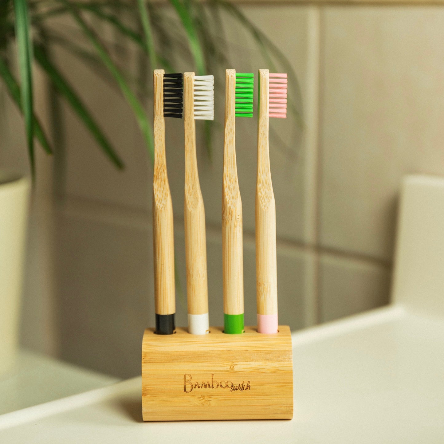 Toothbrush Holder with 4 Slots