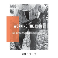 Working The Roots: Over 400 Years of Traditional African American Healing - Paperback