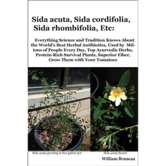 Sida acuta, Sida cordifolia, Sida rhombifolia, Etc.: Everything Science and Tradition Knows about the World's Best Herbal Antibiotics, Used by Million - Paperback